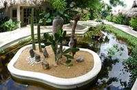 Hotel Palapa Beach Garden